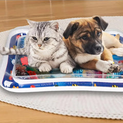 Tapete de Água Inflável para Pets LN876 Tabete Aquatico - 02