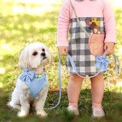 Conjunto Peitoral Para Cachorro Rosa Com Laço E Guia Ajustável Pink