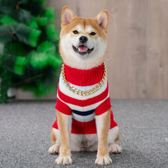 Roupa Pet Inverno com Listras e Estampa em Tricô Premium