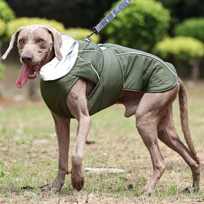 Jaqueta Para Cães Grandes Ajustável - Rexy