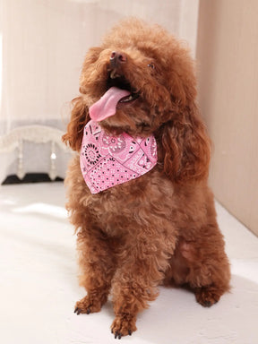 Bandana Ajustável para Pets - PetStyle