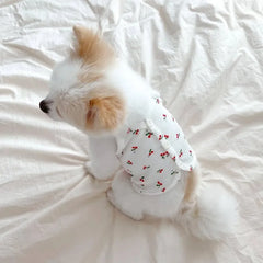 Vestido Cereja Para Cachorro R - ROUPA - 66