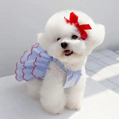 Vestido Babados Azul com Camadas em Voal para Cães
