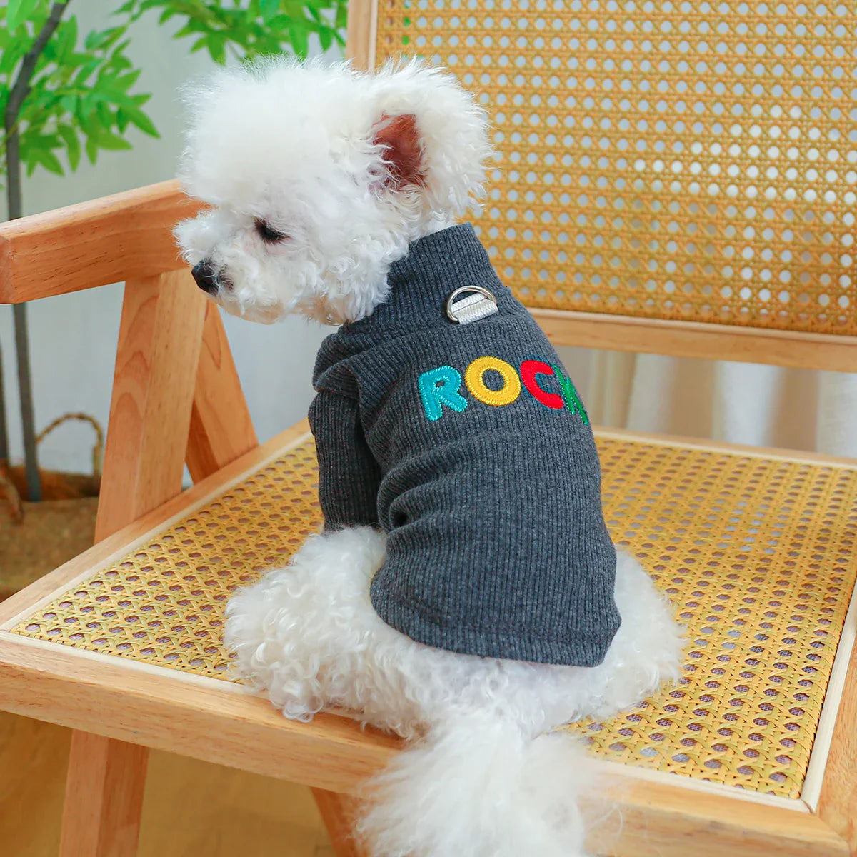 Sueter Gola Auta Para Pet Com Suporte Para Guia - Zoey R - ROUPA - 38
