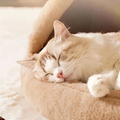 Cabana Quente Para Cachorro e Gatos - Nook C - CAMA - 35