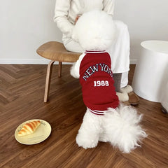 Jaqueta College para Pets Estilo New York 1988