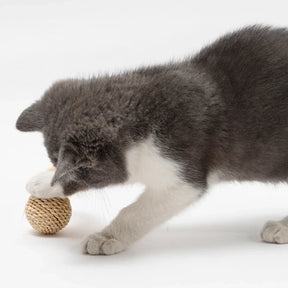 Brinquedo de Gato com Sino e Pena