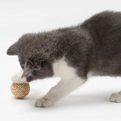 Brinquedo de Gato com Sino e Pena B - BOLA - 05