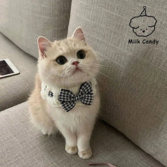 Colar Para Gatos Em Renda Com Laço De Cetim Estilo Clássico