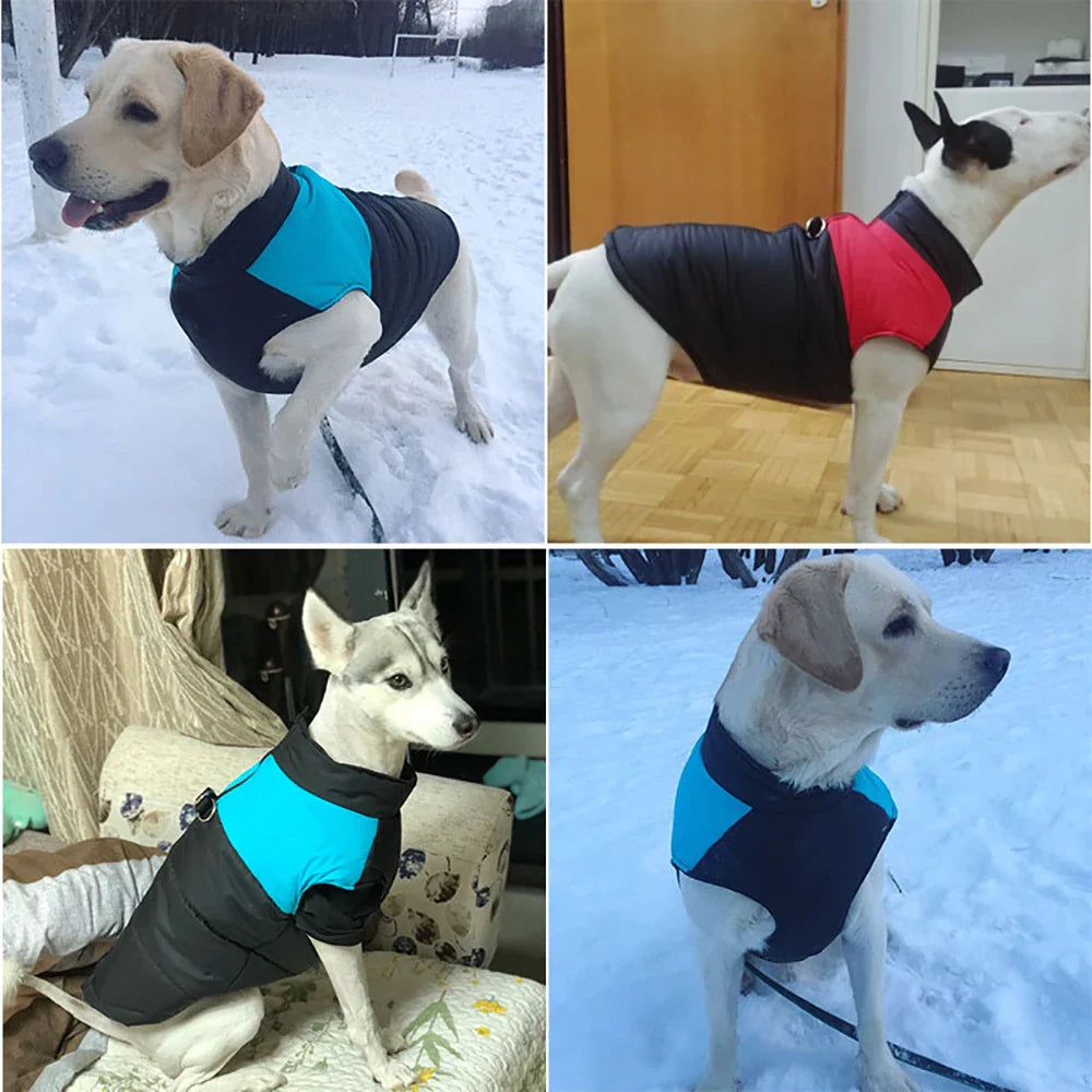 Casaco Impermeável Para Cães R - ROUPA - 65