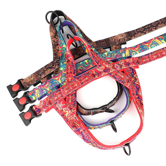 Peitoral Acolchoado para Cachorros - VivaPaws C - PEITORAL - 03
