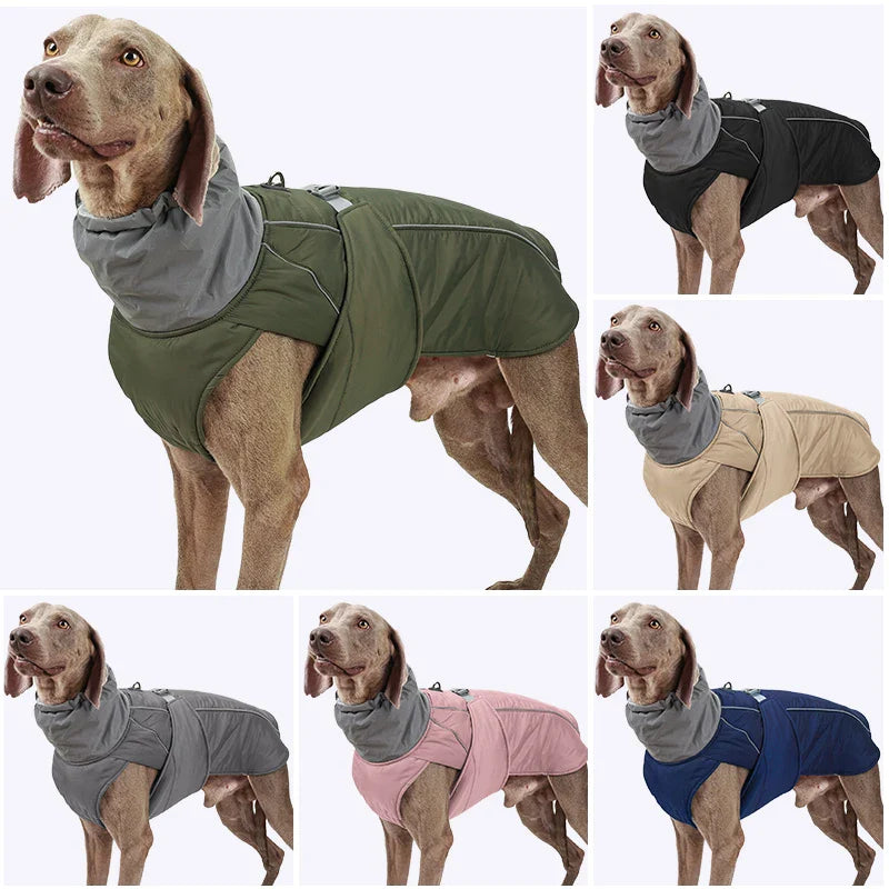 Jaqueta Para Cães Grandes Ajustável - Rexy R - ROUPA GATO - 87