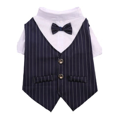 Roupa Social para Gato com Gravata Borboleta