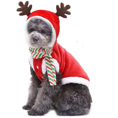Fantasia de Natal para Cães Pequenos — Casaco Rena e Noel