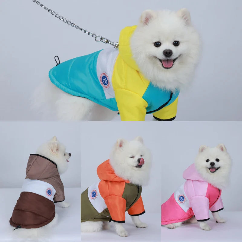 Casaco Buffer Para Cachorro - Zazu R - ROUPA - 9LNR2A