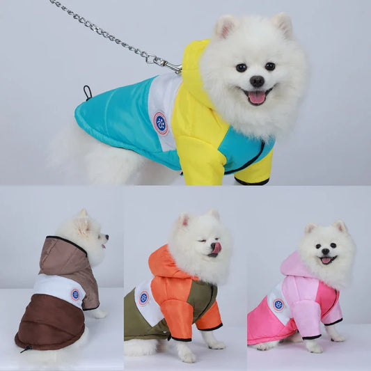 Casaco Buffer Para Cachorro - Zazu R - ROUPA - 9LNR2A