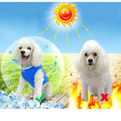 Colete de Resfriamento para Cães IcePet VERAO - 01