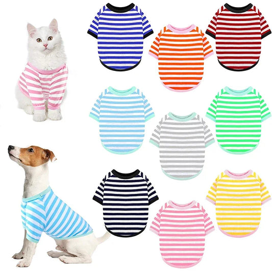 Camiseta Fresca para Cães VerãoLuna LN334 VERAO - 06