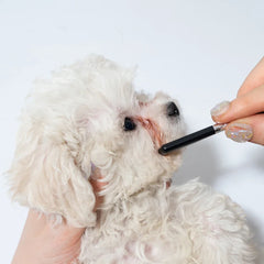 Kit de Higiene Facial para Cães e Gatos