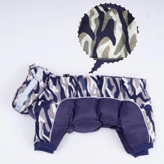 Roupinha Estilo Bomber para Pet com Design Casual