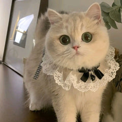 Colar Para Gatos Em Renda Com Laço De Cetim Estilo Clássico