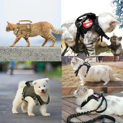 Colete de Treinamento para Gatos e Cães Pequenos C - PEITORAL - 09