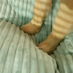 Colchão Pet Listrado Estilo Minimalista Conforto e Sofisticação