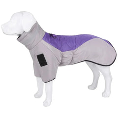 Roupa de Inverno Pet com Design Esportivo e Forro Térmico