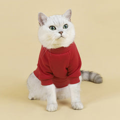 Camiseta Para Gatos Em Algodão Cores Sólidas E Caimento Leve