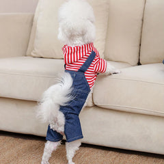 Jardineira Para Cachorro Em Jeans Com Camisa Estilo Xadrez Listrado