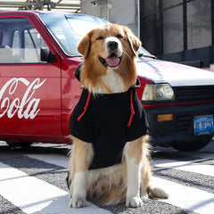Moletom Para Cachorro Preto Com Estampa De Pata Xadrez
