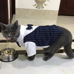 Roupa Social para Gato com Gravata Borboleta