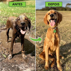 Spray de mangueira para banho em pet AquaJet AS - 05