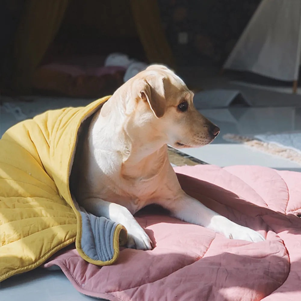Tapete Folha para Cachorro A - Folha - 01