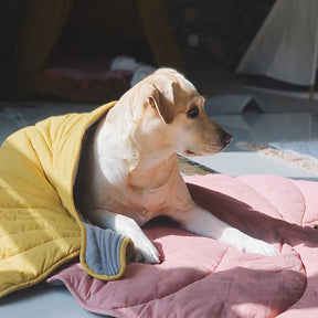 Tapete Folha para Cachorro