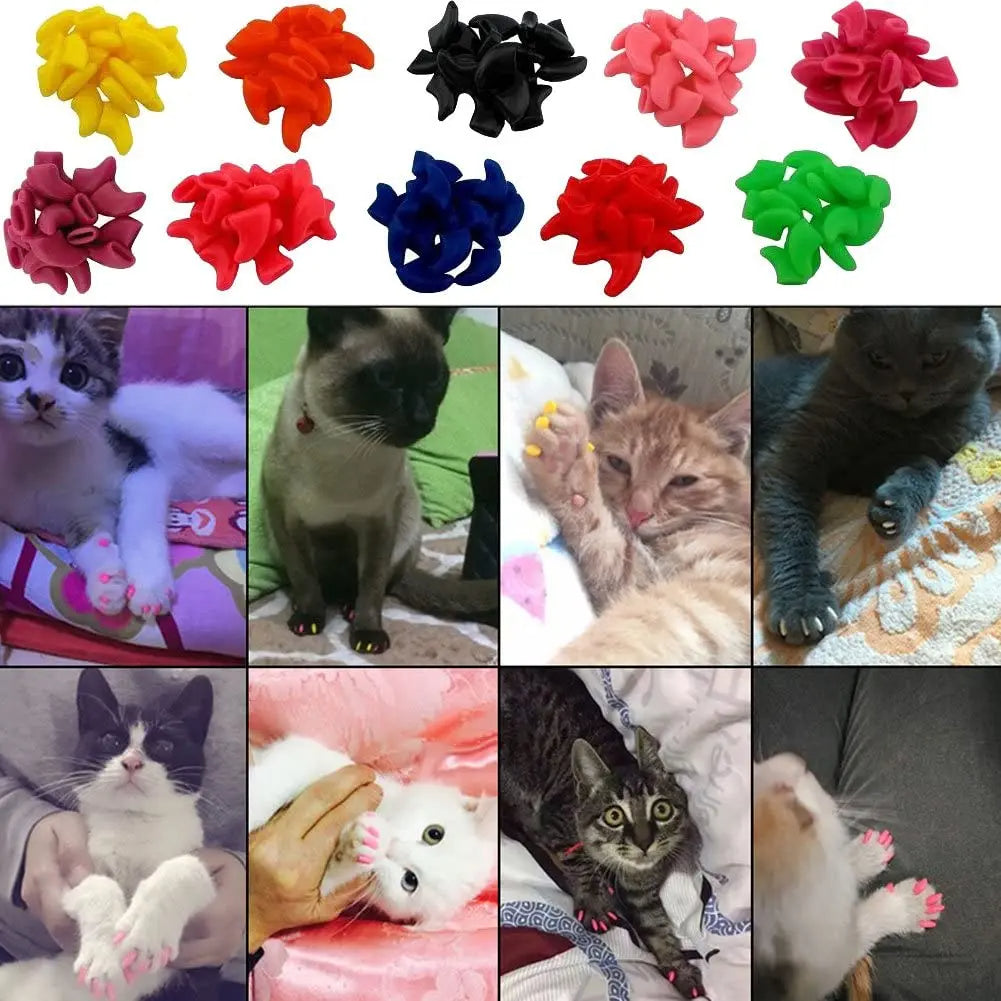 Unhas Coloridas para Gatos Anti-arranhões