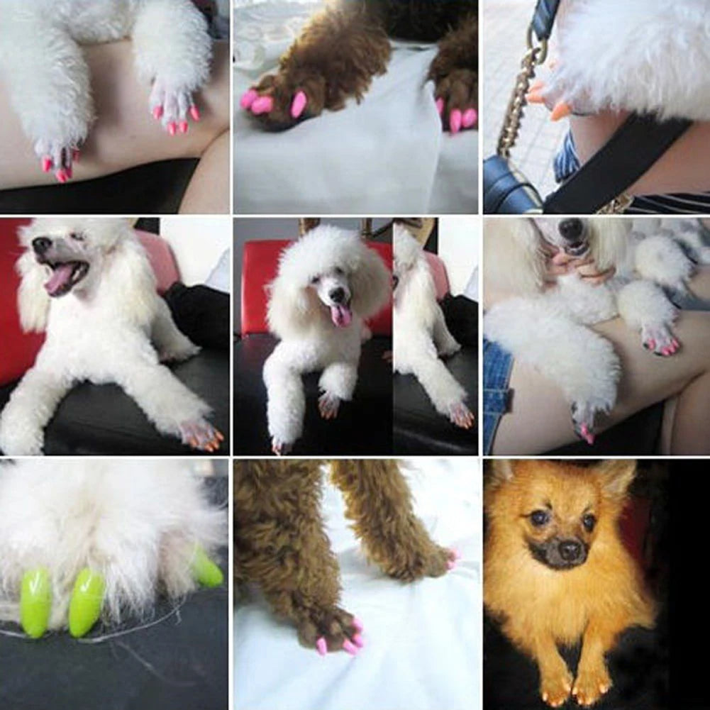Unhas Coloridas para Gatos Anti-arranhões A - Unhas - 01