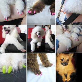 Unhas Coloridas para Gatos Anti-arranhões