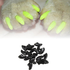 Unhas Coloridas para Gatos Anti-arranhões Preto / P A - Unhas - 01