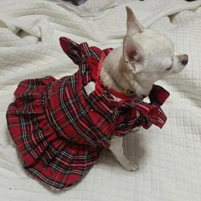 Vestido Festivo para Cães e Gatos