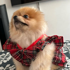 Vestido Festivo para Cães e Gatos R - Roupas - 26