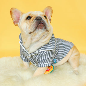 Pijama Pet Confortável - Furluxe