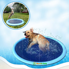 Piscina Chafariz Para Pets JetDoggy